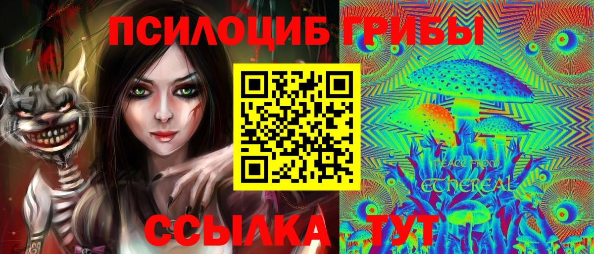 Псилоцибиновые грибы Psilocybe Новороссийск