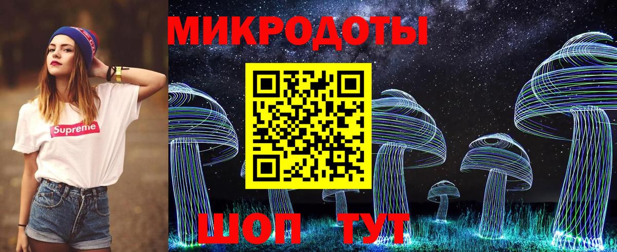 Галлюциногенные грибы GOLDEN TEACHER  Вход с VPN  Новороссийск 