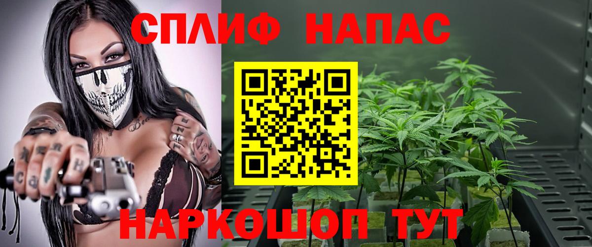 Канабис ГИДРОПОН Новороссийск